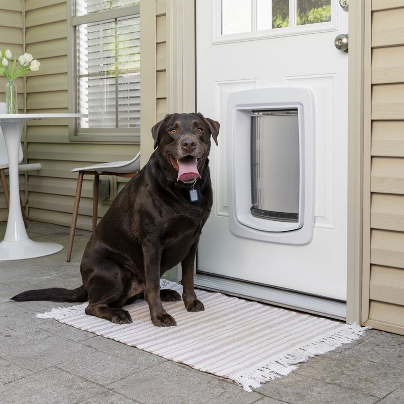 Petsafe SmartDoor Connected – elektronische Haustierklappe für Hunde und Katzen mit App-Steuerung